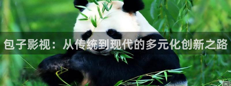 小小影视如何下载：包子影视：从传统到现代的多元化创新之路