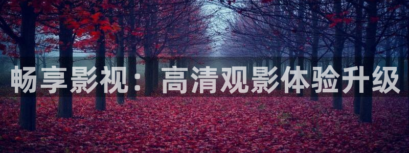 小小影视免费高清观看：畅享影视：高清观影体验升级