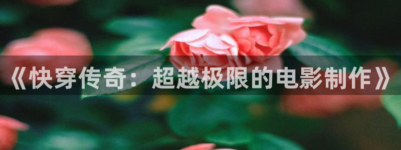 小小影视+官网下载：《快穿传奇：超越极限的电影制作》