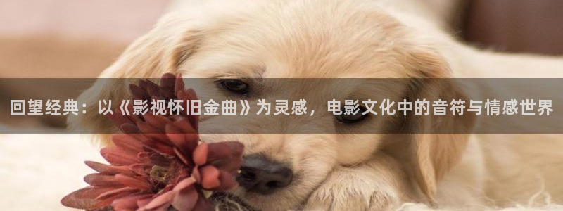 小小影视app苹果：回望经典：以《影视怀旧金曲》为灵感，电影文化中的音符与情感世界