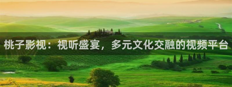 小小影视无广告版：桃子影视：视听盛宴，多元文化交融的视频平台