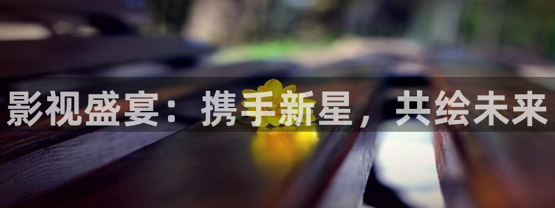 小小影视3.1：影视盛宴：携手新星，共绘未来