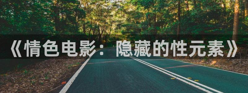 小小影视大全免费版：《情色电影：隐藏的性元素》