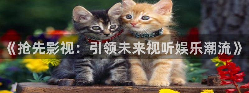 农场主的女儿们小小影视：《抢先影视：引领未来视听娱乐潮流》